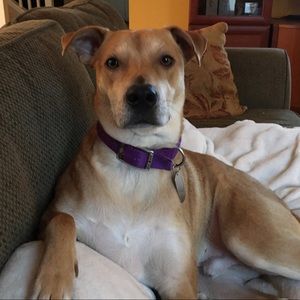 Meet your Posher, Catharine